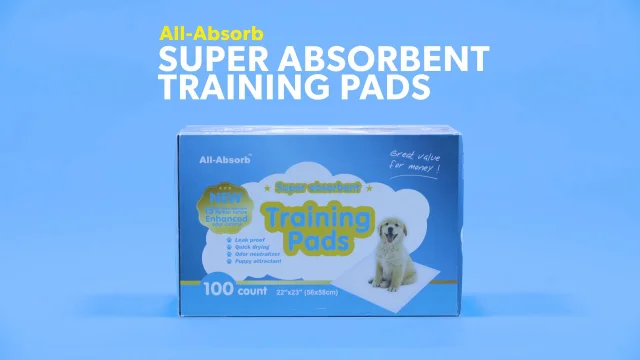 22 x 23,200 Count All-Absorb A07 Bulk Packaging Training Pads Limited Edition 