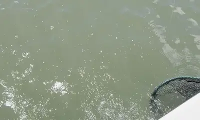 Outing of a lifetime!