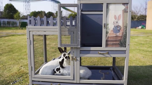 Rabbit Roling Cat COZIWOW Rolling Rabbit Hutch with Balcony & Tray, Grey - Chewy.com