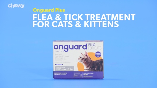 Play Video: Learn More About Onguard Plus From Our Team of Experts