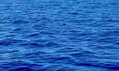 San Jose del Cabo Report Video 0