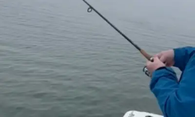 Top-Notch Guide, Incredible Fishing