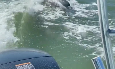Key Largo Report Video 0