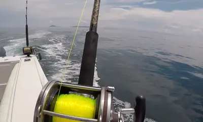 Panama City Report Video 2