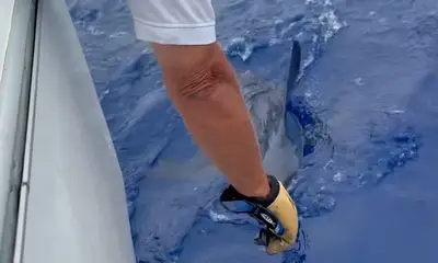 Calheta Report Video 1