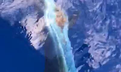 West Bay Report Video 4