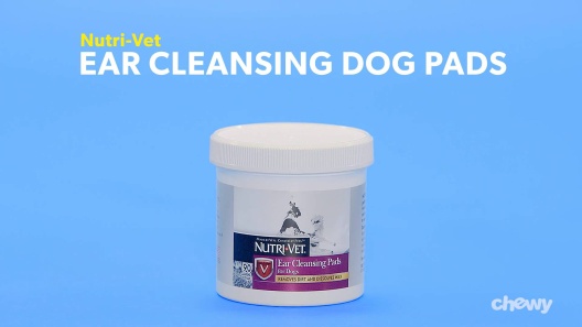 Play Video: Learn More About Nutri-Vet From Our Team of Experts