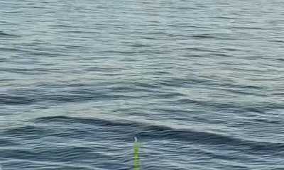 Annapolis Report Video 1