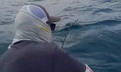San Jose del Cabo Report Video 0