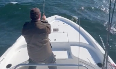 Fairfield Report Video 1