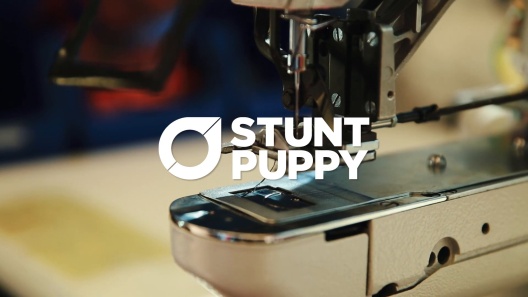 Play Video: Learn More About Stunt Puppy From Our Team of Experts