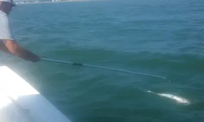 Carolina Beach Report Video 0