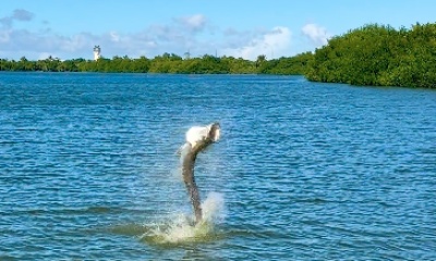 San Juan Report Video 0