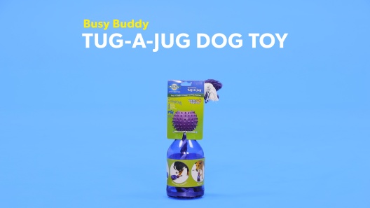Play Video: Learn More About Busy Buddy From Our Team of Experts