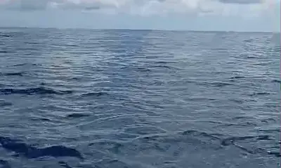 Herradura Report Video 0