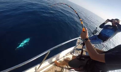 Vrsar Report Video 0