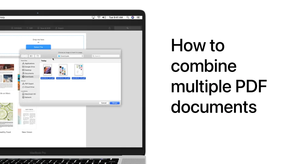 How to Edit a PDF On a Mac