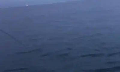 Mobile Report Video 1