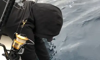 San Diego Report Video 1