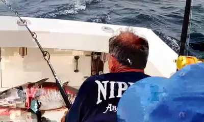 Montauk Report Video 0