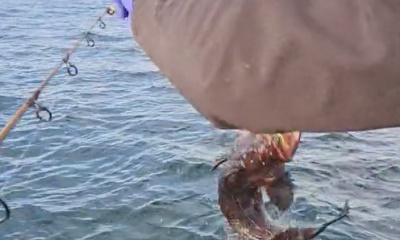 Very knowledgeable and down to earth fishing with Joe