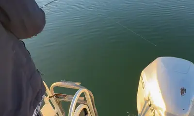 Lake Havasu City Report Video 1