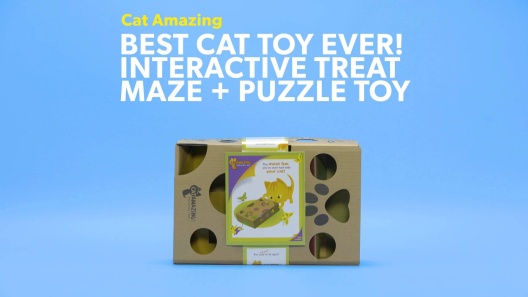 Play Video: Learn More About Cat Amazing From Our Team of Experts