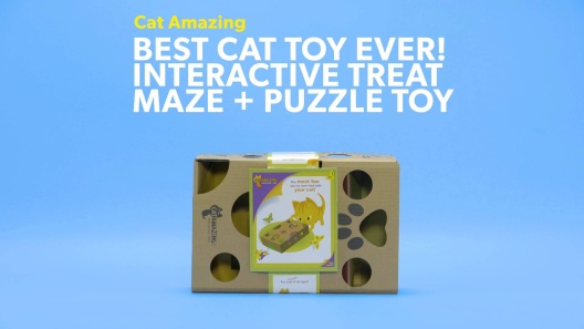 Puzzle Cat Toy Fun Maze Exercising Fights Boredom Kitten Cat Feeder Treats  NIB