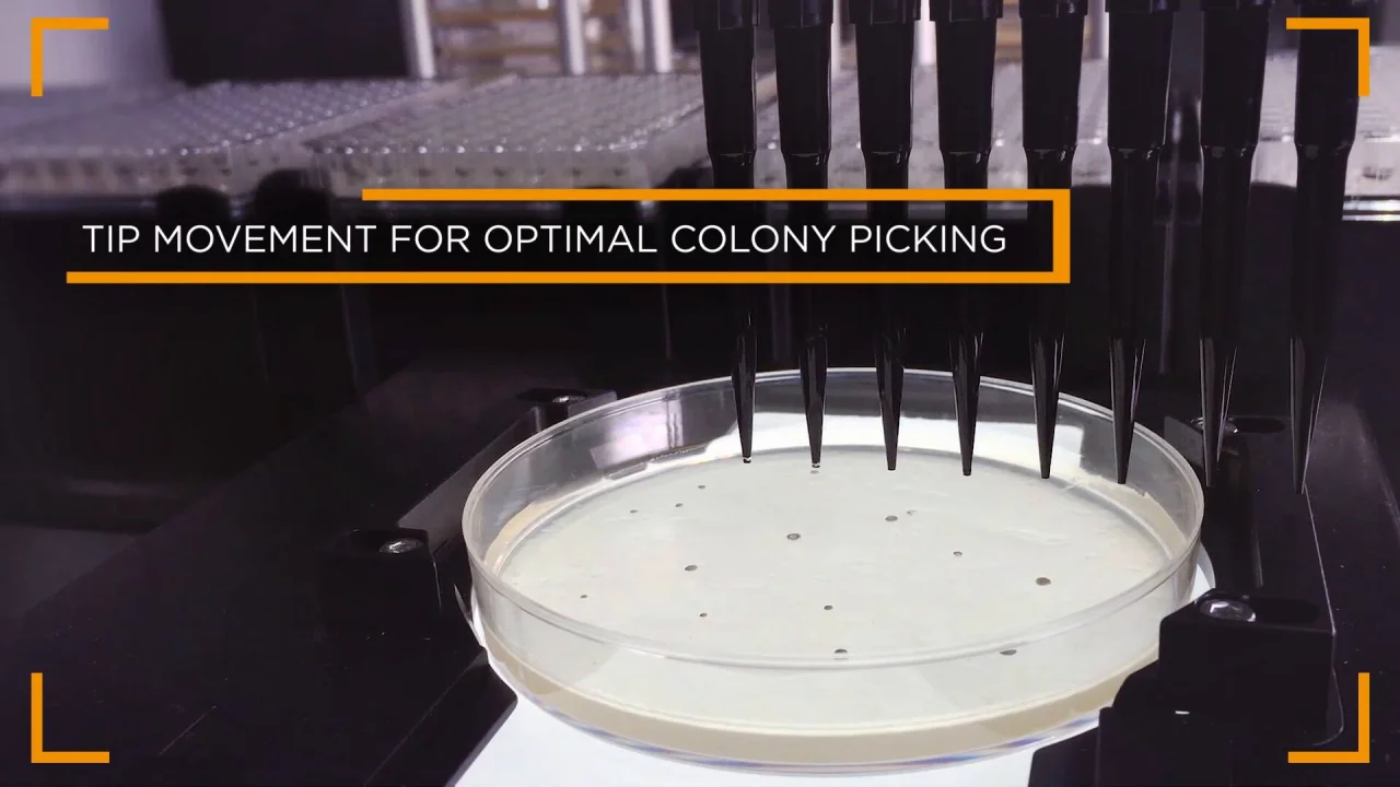 Sample plating and colony picking specific application packages