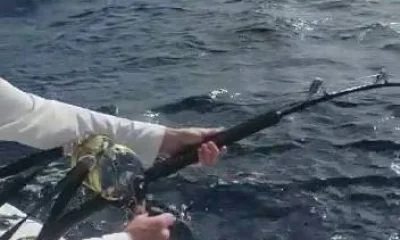 West Bay Report Video 0