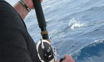 Panama City Report Video 0