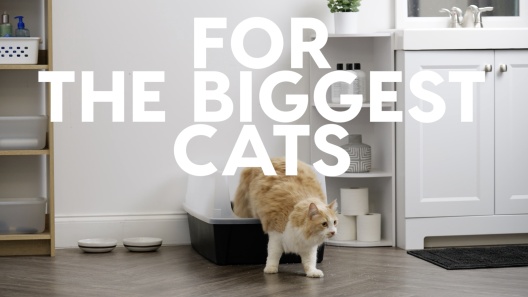 IRIS Open Top Cat Litter Box with Scatter Shield, XX-Large