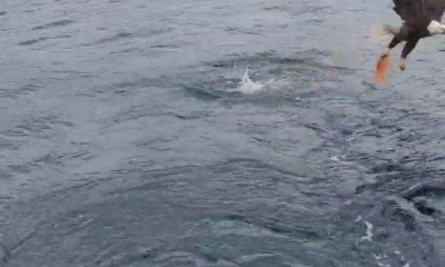 Amazing fishing day!