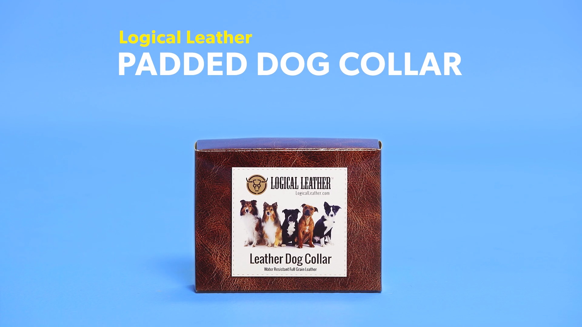 logical leather padded dog collar