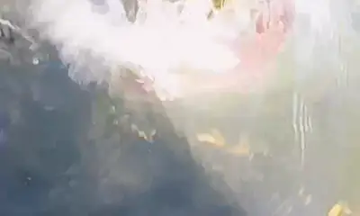Minneapolis Report Video 2