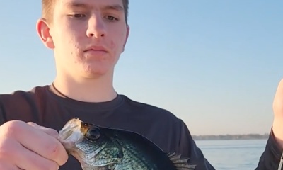 DeBary Report Video 0