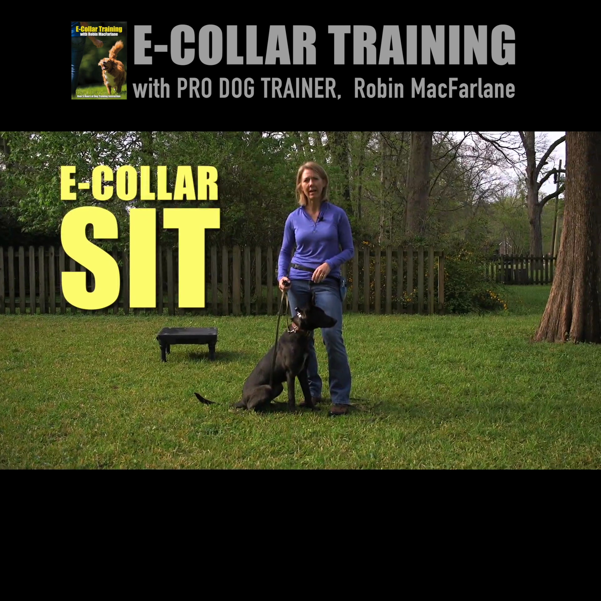 sites 112645 video uMCI3jHwRc2rrMXn8az6 TRAILER NEW Robin MacFarlane s Ecollar Training 5 Hours of Video .mp4