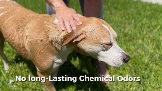 Pawtitas Organic Eucalyptus & Spearmint Dog Deodorant