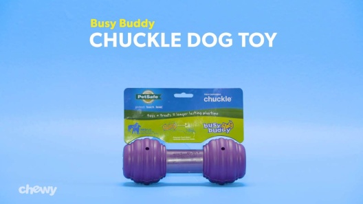 PetSafe Busy Buddy Chuckle Dog Toy