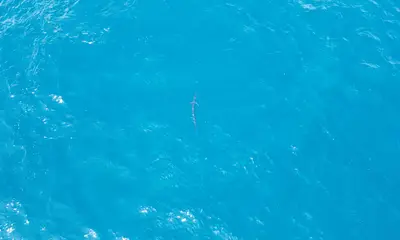 Key West Report Video 0