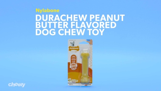 Nylabone Petite Puppy Peanut Butter Twin Pack Chew Toy