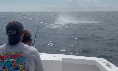 Great experience and trip! 