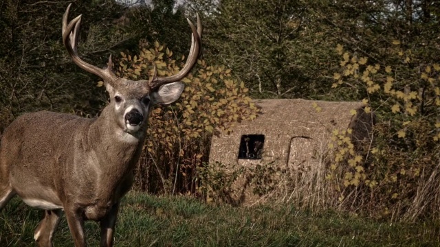 Outfitter HD Bale Blind