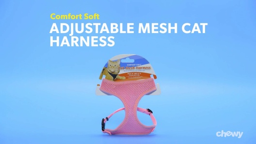 Play Video: Learn More About Comfort Soft From Our Team of Experts