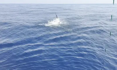 FANTASTIC EXPERIENCE\u203c\ufe0f