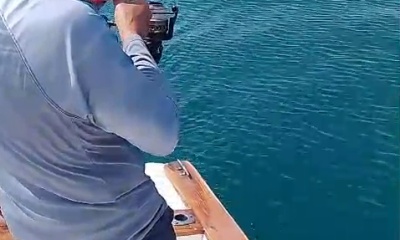 Biggest Rooster my PB