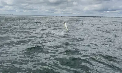 Jacksonville Report Video 1