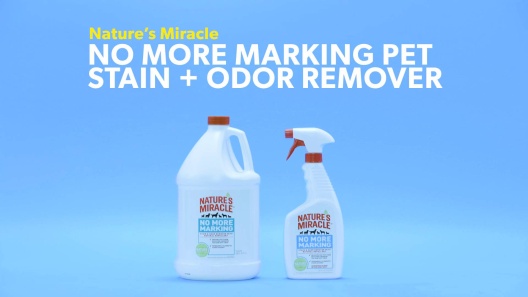 Nature's Miracle Advanced Platinum No More Marking for Dogs, 24 fl