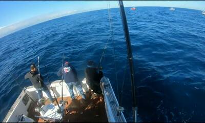 Port Stephens Report Video 0