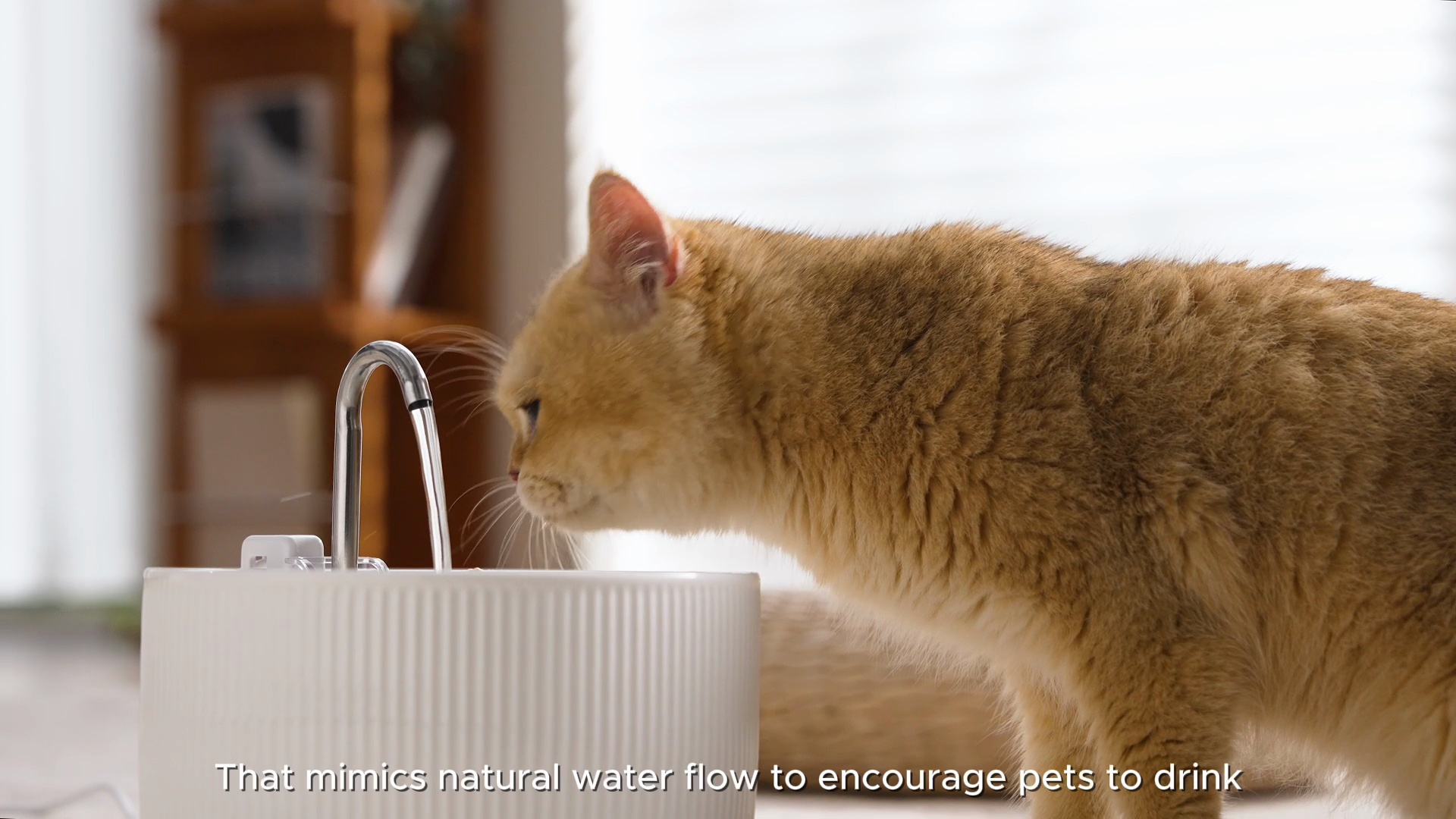 PAWSPIK Ceramic Serenity Faucet Dog & Cat Water Fountain, White, 9